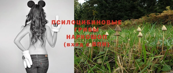 гидропоника Киреевск